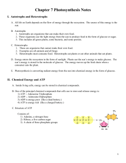 Chapter 7 Photosynthesis Notes