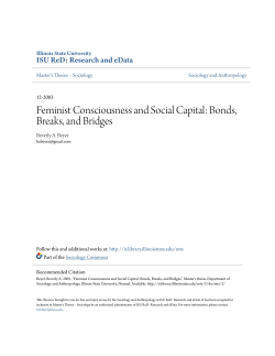 Feminist Consciousness and Social Capital: Bonds, Breaks, and