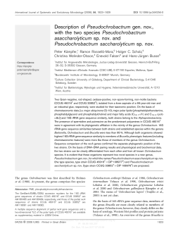Description of Pseudochrobactrum gen. nov., with the two species