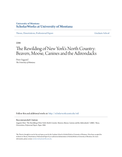The Rewilding of New York`s North Country