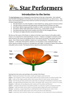 Introduction to Star Performer series