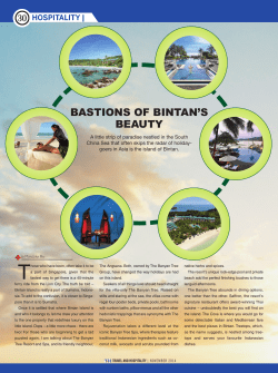 bastions of bintan`s beauty