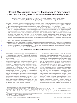 Different Mechanisms Preserve Translation of Programmed Cell