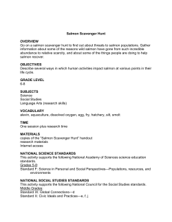 Salmon Scavenger Hunt