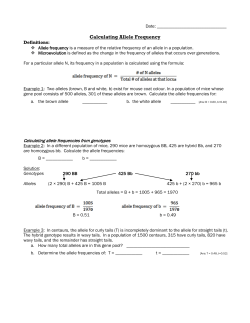 Population Genetics Worksheet