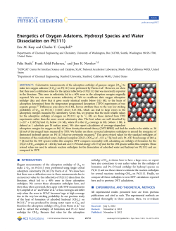 Energetics of Oxygen Adatoms, Hydroxyl Species and Water