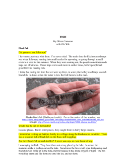 By Oliver Cameron with Ole Wik Blackfish Did you ever use fish