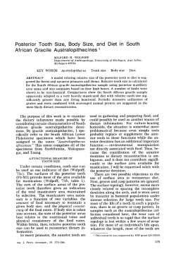 Posterior Tooth Size, Body Size, and Diet in South