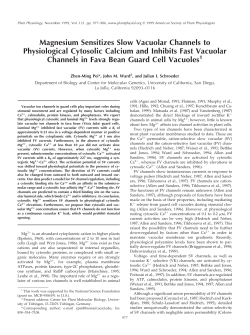 Magnesium Sensitizes Slow Vacuolar Channels to