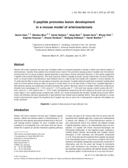 C-peptide promotes lesion development in a mouse model of