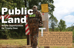 Ample Opportunities for Trophy Deer