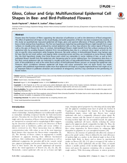 and Bird-Pollinated Flowers