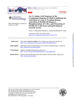 An 11-Amino Acid Sequence in the Cytoplasmic Domain of CD40 Is