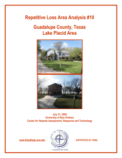 Repetitive Loss Area Analysis #10 Guadalupe County, Texas Lake