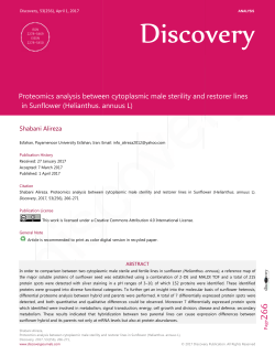 lysis between cytoplasmic male sterility and restorer