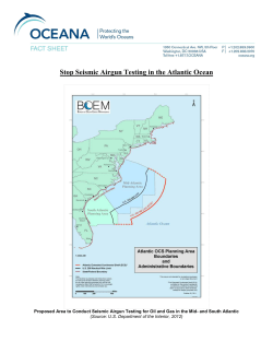 Stop Seismic Airgun Testing in the Atlantic Ocean