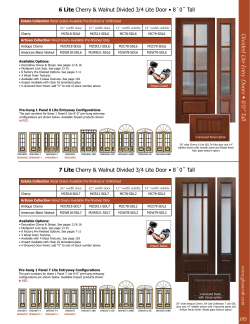 Divided Lite Entry Doors • 8`0” Tall