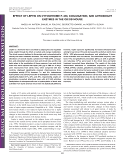 effect of leptin on cytochrome p-450, conjugation, and antioxidant