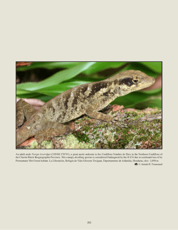 Townsend, J. 2014. Characterizing the Chortís Block Biogeographic