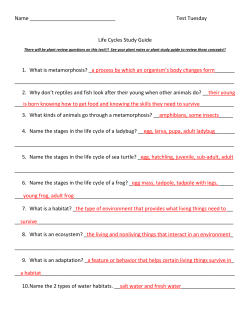 Test Tuesday Life Cycles Study Guide 1. What is