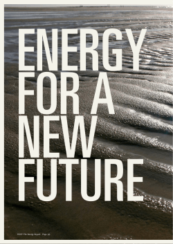 WWF The Energy Report Page