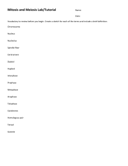 Mitosis and Meiosis Lab/Tutorial