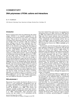 DNA polymerase d/PCNA: actions and interactions