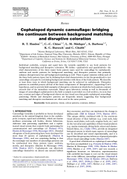 Cephalopod dynamic camouflage - Institute for Mathematical
