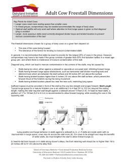 Adult Cow Freestall Dimensions