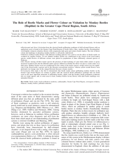 The Role of Beetle Marks and Flower Colour on Visitation by