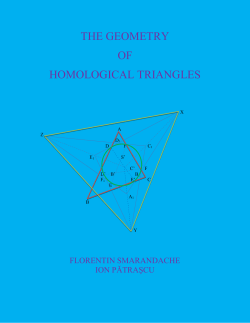 The Geometry of Homological Triangles