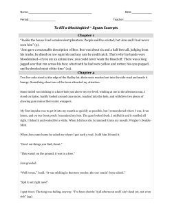 To Kill a Mockingbird ~ Jigsaw Excerpts