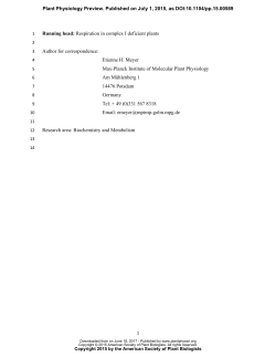 Complete mitochondrial complex I deficiency induces an