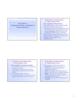 Mathematics, Physics, and Biology of Sensory Experience