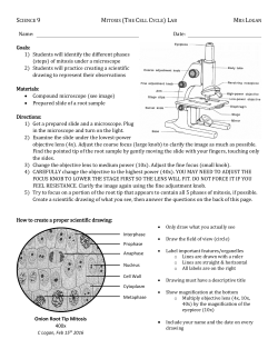 Name: Date: Goals: 1) Students will identify the different phases