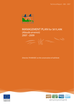 MANAGEMENT PLAN for SKYLARK