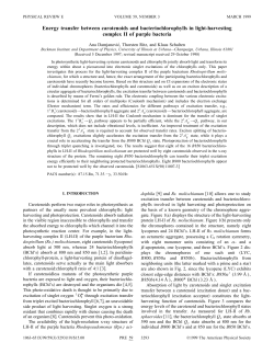Energy transfer between carotenoids and bacteriochlorophylls in