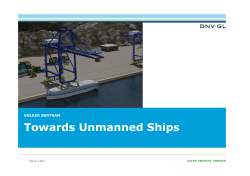 Towards Unmanned Ships