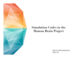 Simulation Codes in the Human Brain Project (HBP)