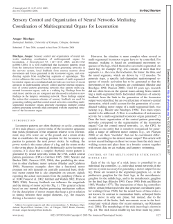 Sensory Control and Organization of Neural Networks Mediating
