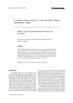 Protistology A simple mass culture of the amoeba Chaos