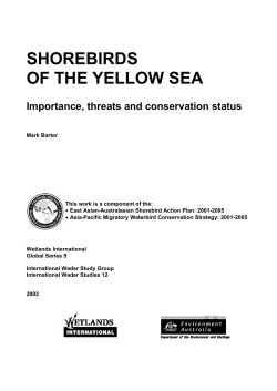 Shorebirds of the Yellow Sea