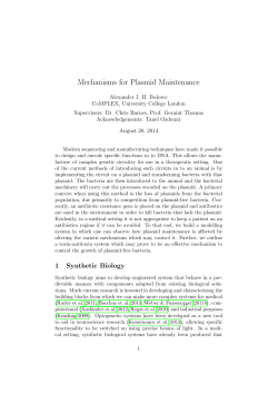 Mechanisms for Plasmid Maintenance