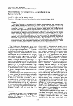 Photosynthesis, photorespiration. and productivity in Lemna