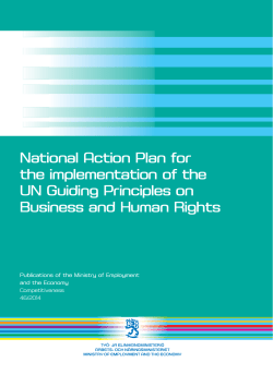 National Action Plan for the implementation of the UN Guiding