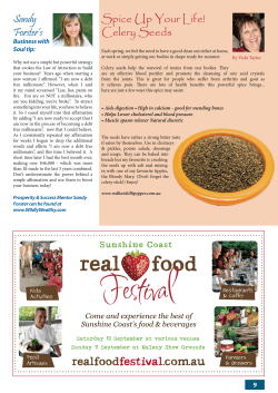 Sandy Forster`s Spice Up Y Celery See