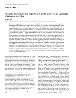 Molecular mechanisms and regulation of insulin exocytosis as a