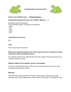 Frog Dissection Lab Lesson Plan Grade Level