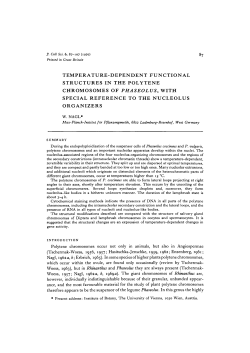 temperature-dependent functional structures in the polytene