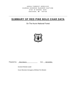 SUMMARY OF RED PINE BOLE CHAR DATA